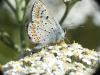 232976 – Photo : Florian ALONSO – France (69)